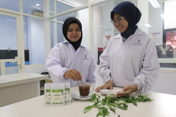 Mahasiswa Ubaya Buat Minuman Herbal Cegah Diabetes Dari Daun Sambiloto